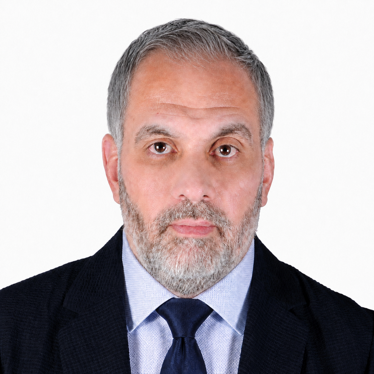Dr. Anan Fatayer — Founder and CEO of E-Efforts Consult Portrait of Dr. Anan Fatayer, Founder and CEO of E-Efforts Consult
